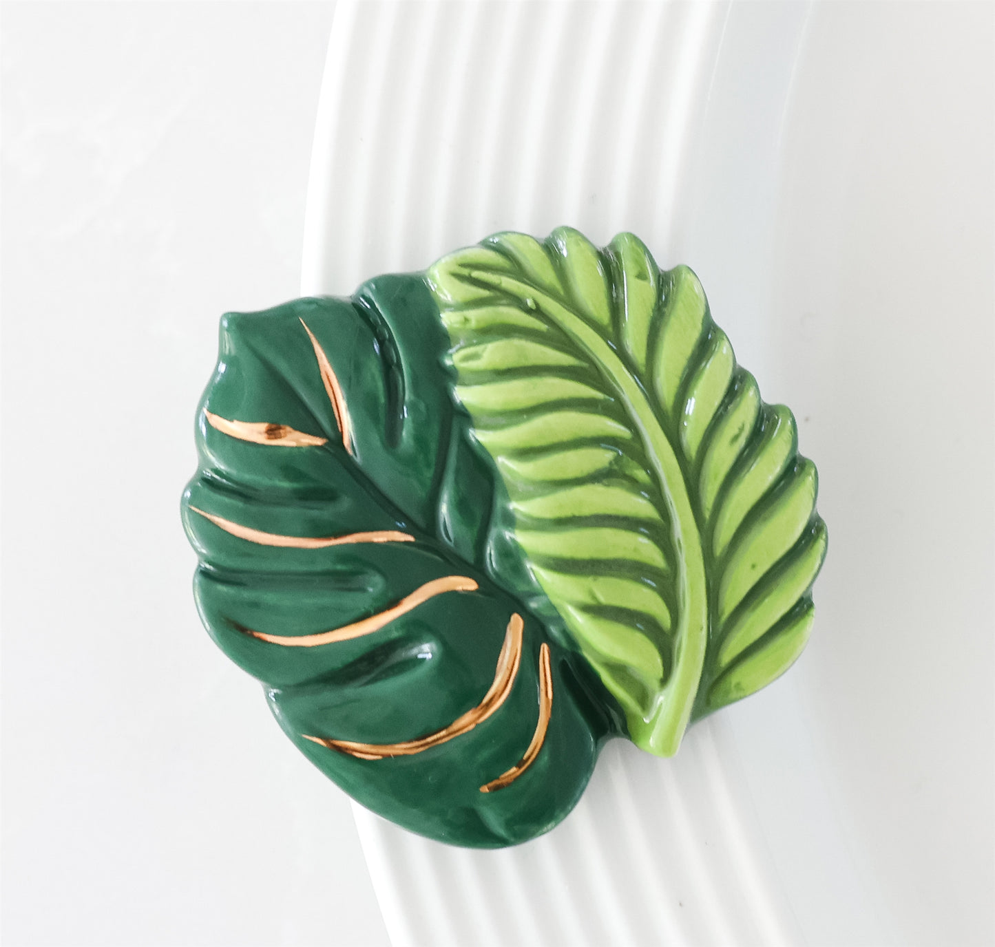 Best Ferns Forever Mini A278